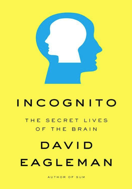  دانلود پی دی اف و ای پاب pdf+ePub کتاب Incognito - David Eagleman | باکتابام 