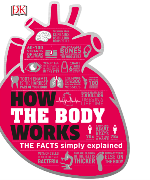 دانلود پی دی اف pdf کتاب How the Body Works: DK Series | باکتابام