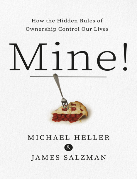  دانلود پی دی اف و ای پاب pdf+ePub کتاب Mine - Michael A. Heller - James Salzman | باکتابام 