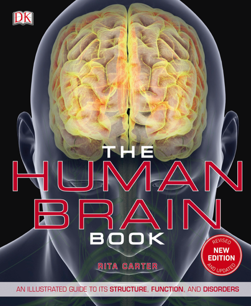 دانلود پی دی اف pdf کتاب The Human Brain Book, New Edition - DK Series | باکتابام