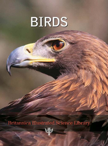دانلود پی دی اف pdf کتاب Birds - Britannica Illustrated Science Library | باکتابام