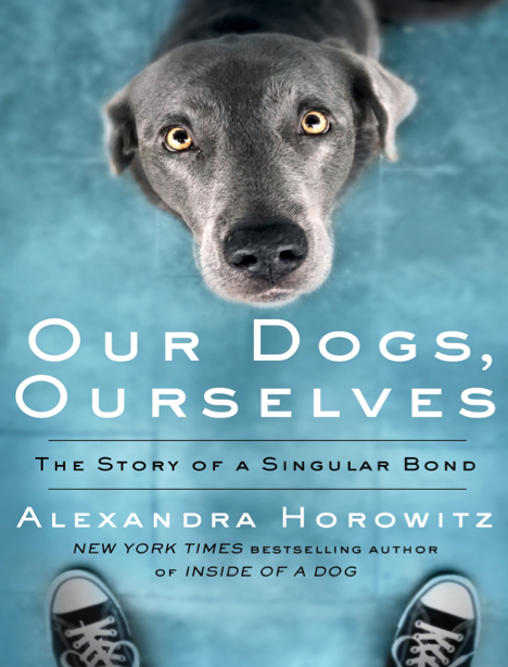 دانلود پی دی اف و ای پاب pdf+ePub کتاب Our Dogs, Ourselves - Alexandra Horowitz | باکتابام